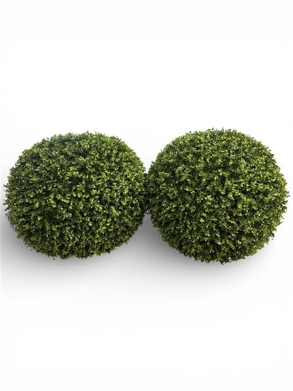 OUTDOOR BOXWOOD BALL