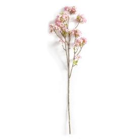 CHERRY BLOSSOM STEM