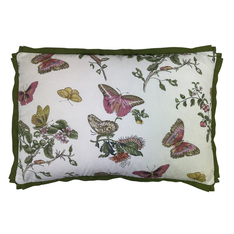 SCHUMACHER BAUDIN BUTTERFLY