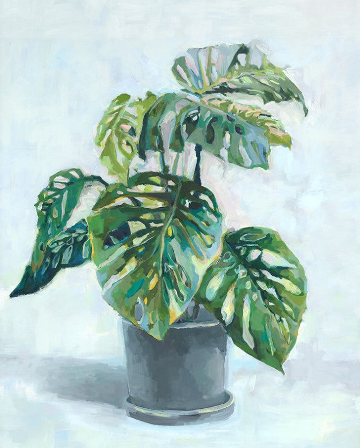 MONSTERA III