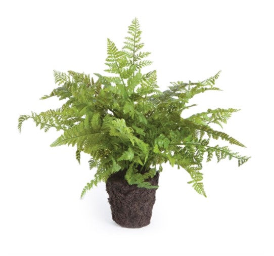 SOFT  FERN  DROP- IN