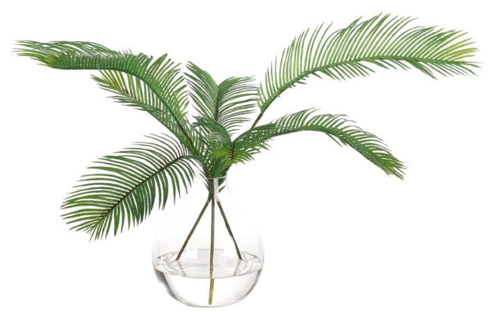 PALM FERN