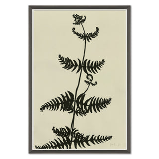 INK ON PEPER - FERN