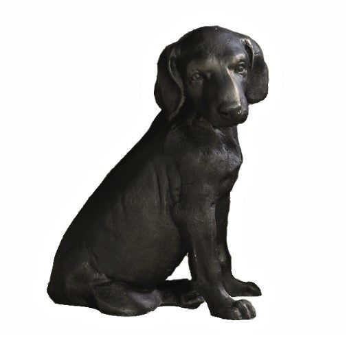 LAB PUP BRONZE