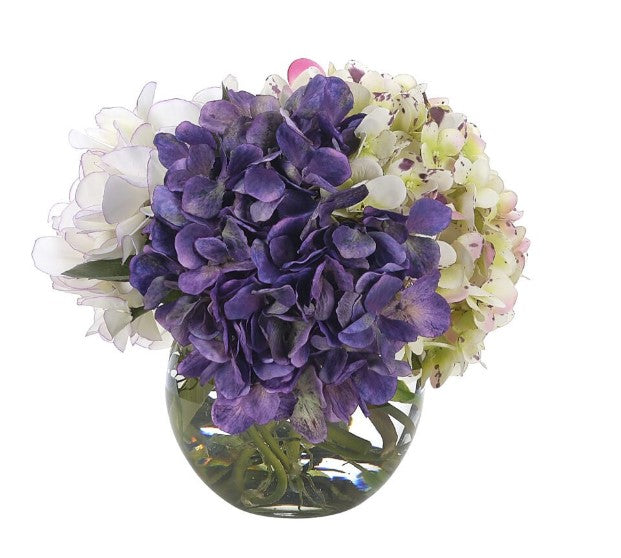 HYDRANGEA