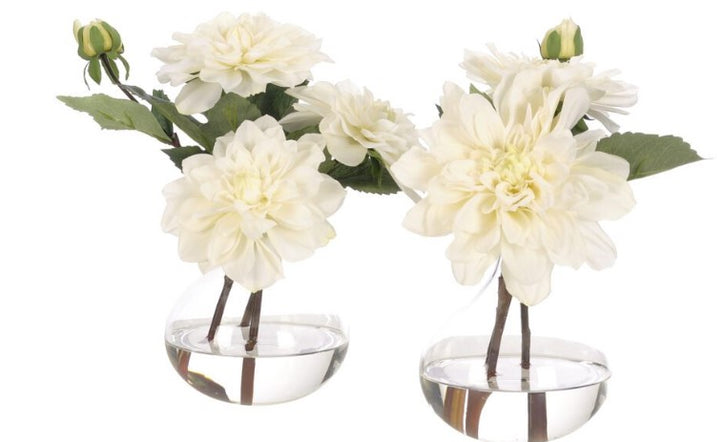 DAHLIA SET OF 2