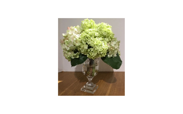 WHITE HYDRANGEA